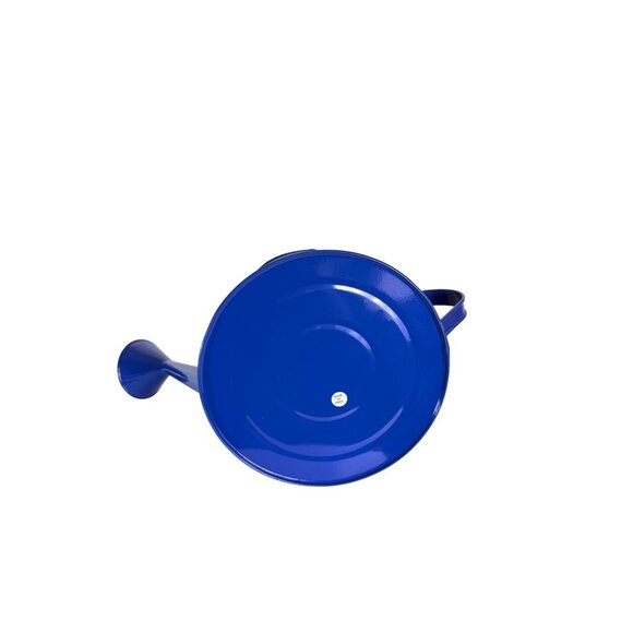 Jaipur In Bloom Floral Blue Metal Watering Can Garden Hand Painted Decorative - Picture 15 of 15